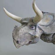 Girl's Nasutoceratops